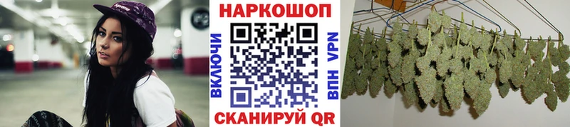Купить наркотик аптеки Южа Галлюциногенные грибы  Гашиш  МАРИХУАНА  Кокаин  АМФ 