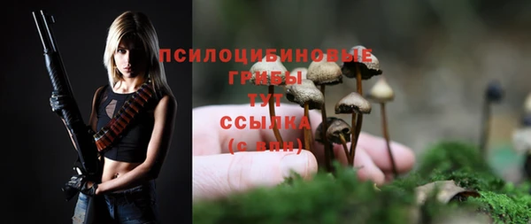 спиды Абинск