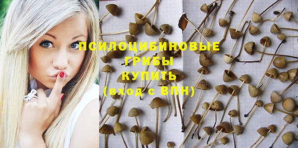 PSILOCYBIN Мегион