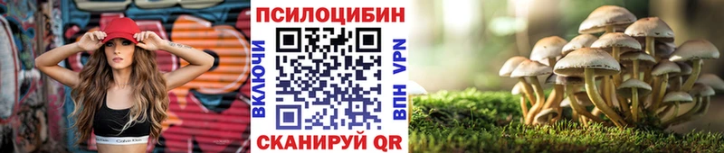 Псилоцибиновые грибы GOLDEN TEACHER  цены наркотик  Южа 